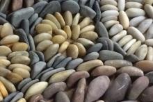 Pebble Mosaic courses